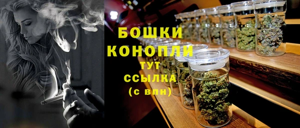 PSILOCYBIN Тихвин